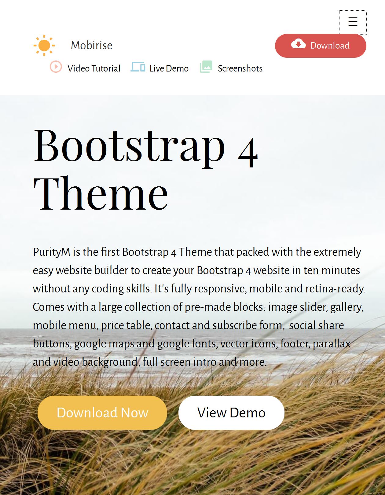 Bootstrap Sample Template