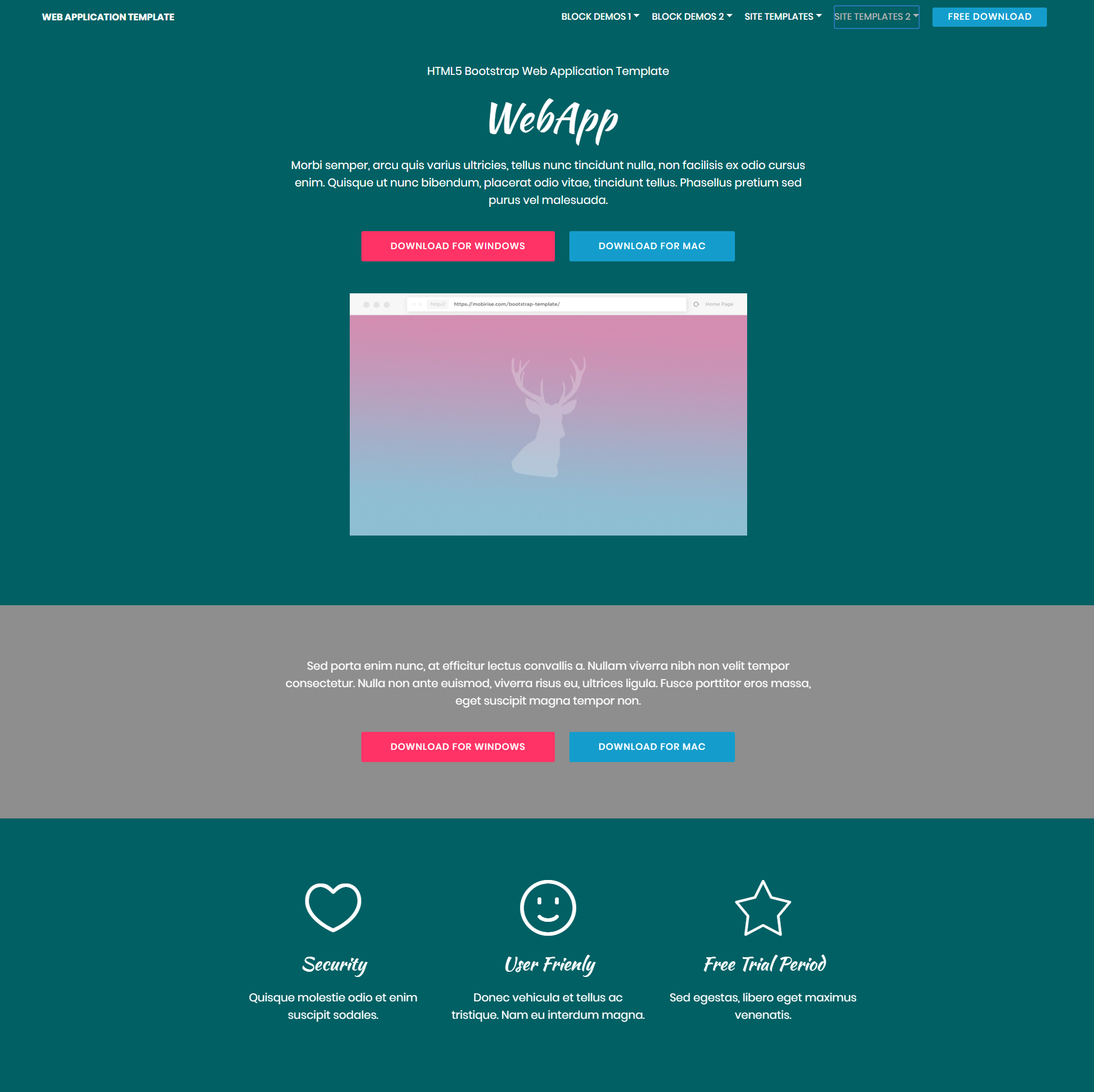 Responsive Bootstrap Web application Themes