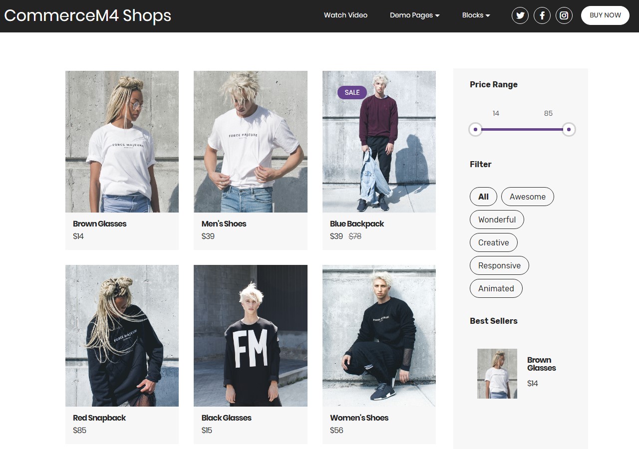 Shops Template for eCommerce Website