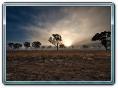 Foggy Morning