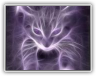 purple cat