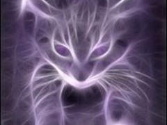 Purple cat