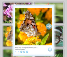 image and video gallery jquery