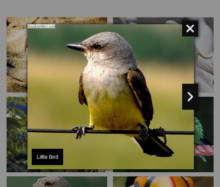 lightbox html popup
