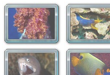 Pinboard Theme