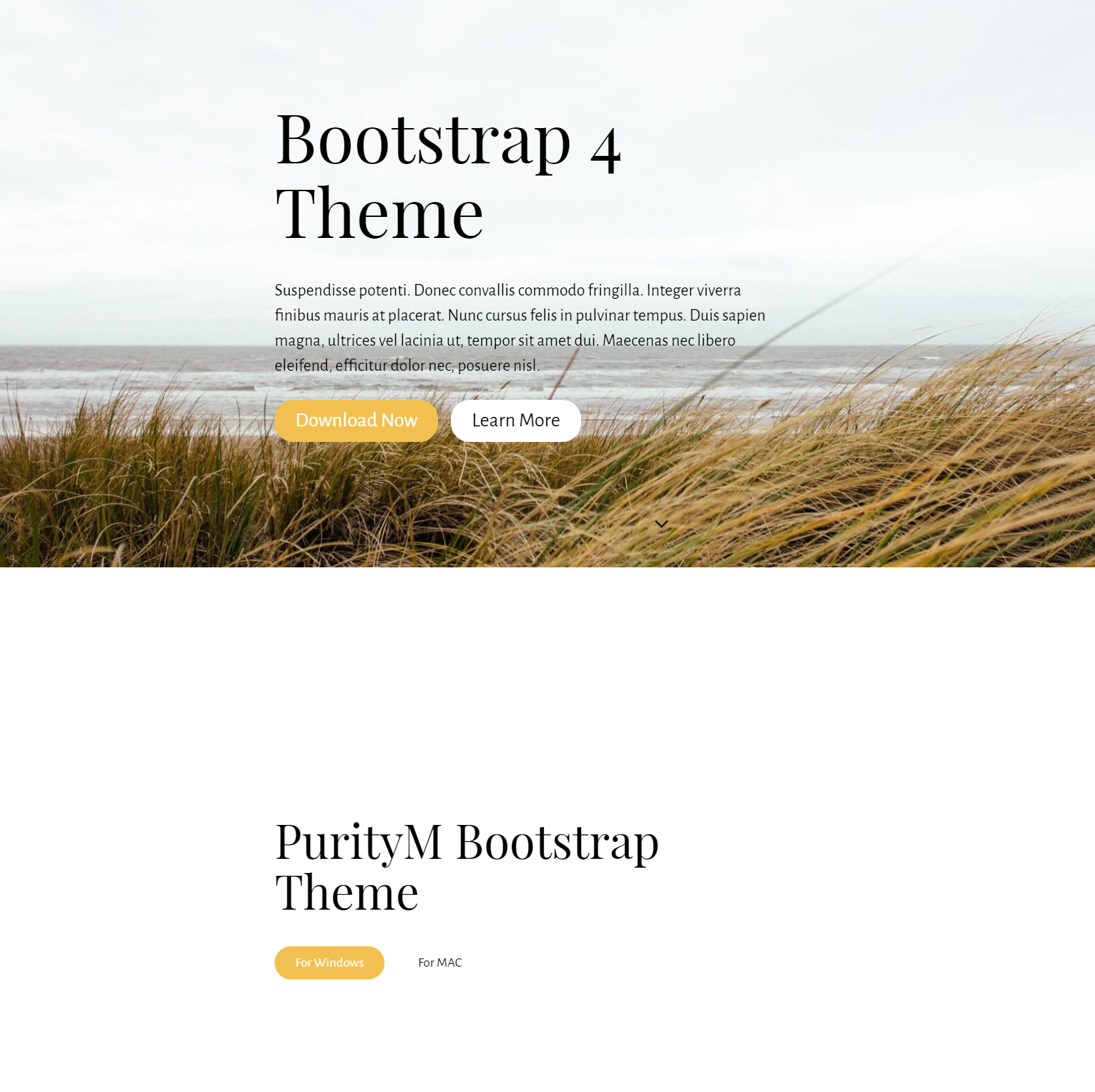 Bootstrap 5 Theme