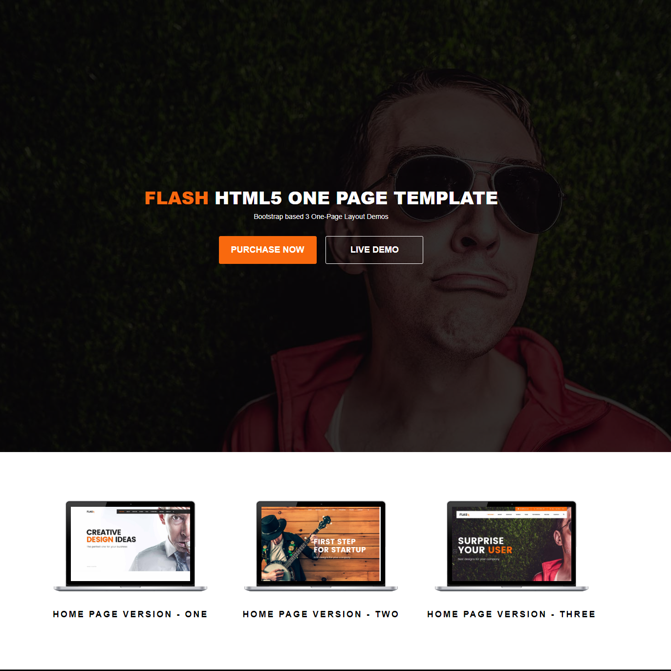 Bootstrap Flash HTML5 Template