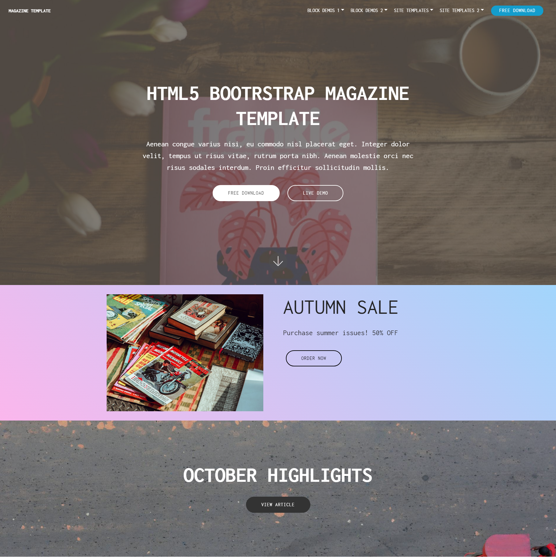 HTML5 Bootstrap Magazine Themes